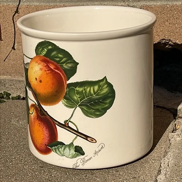 Portmeirion large ceramic cachepot planter